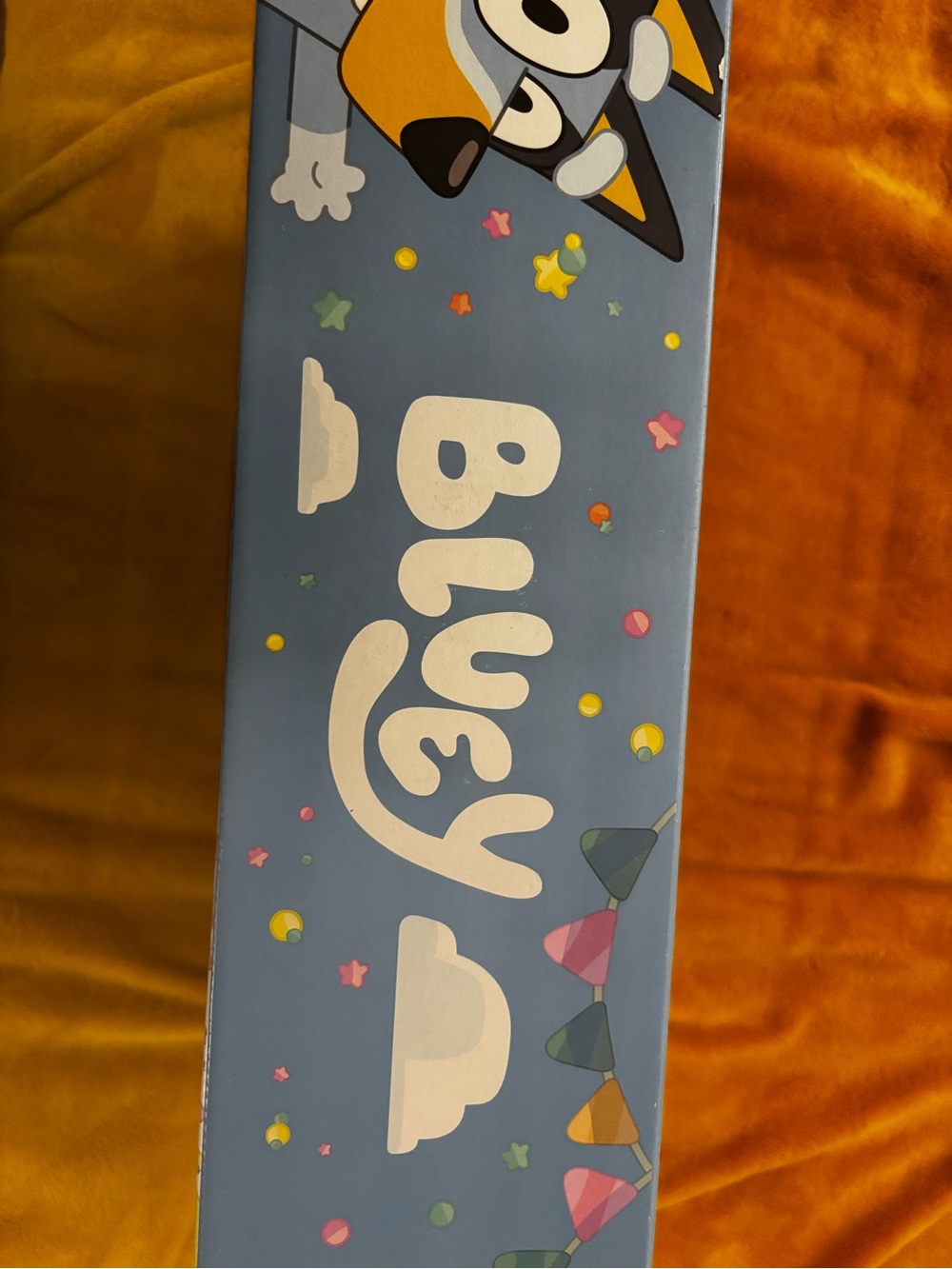 Bluey Celebration Home